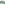 Two types of ribosomes with one (blue) or two (green) copies of bS20 were visualized at molecular resolution within intact bacterial cells